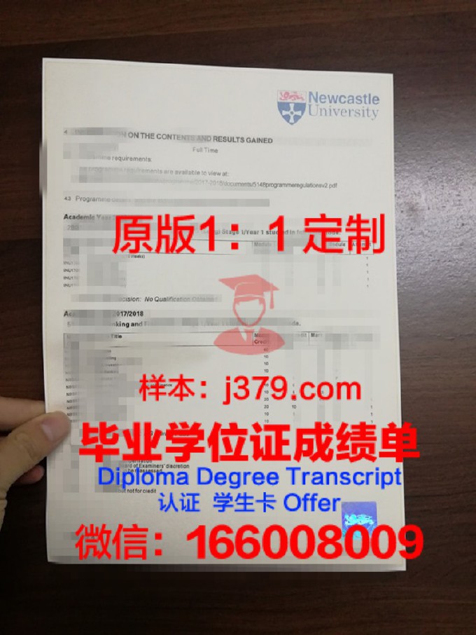 贵湖大学成绩单查询(贵州大学成绩单)