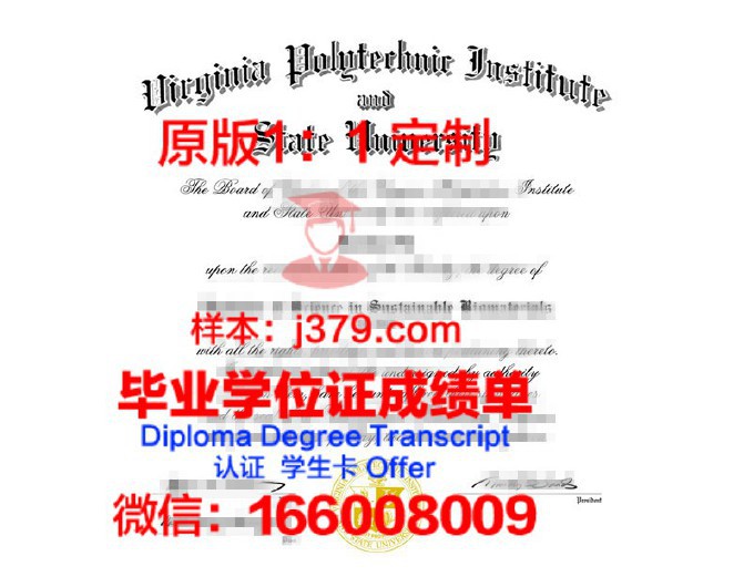 埃因霍温理工大学diploma证书(埃因霍温理工大学申请截止日期)