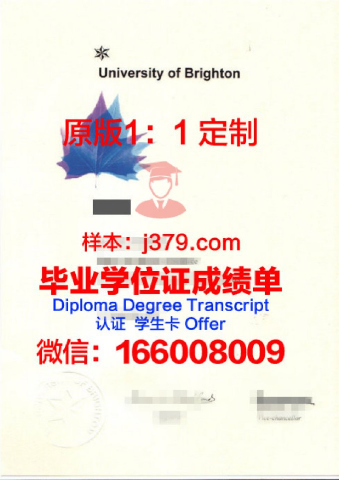 布莱顿大学毕业证样本(布莱顿大学毕业证样本图片)