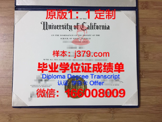 亚眠高等商业学院diploma证书(亚眠高等商学院本科在中国承认吗)