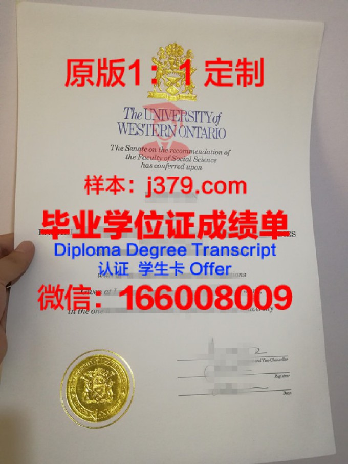 西安外国语大学毕业证封面(西安外国语大学本科毕业证)