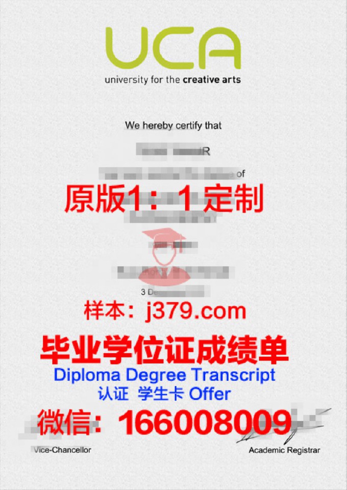 创意艺术大学diploma证书(创意艺术大学好吗)