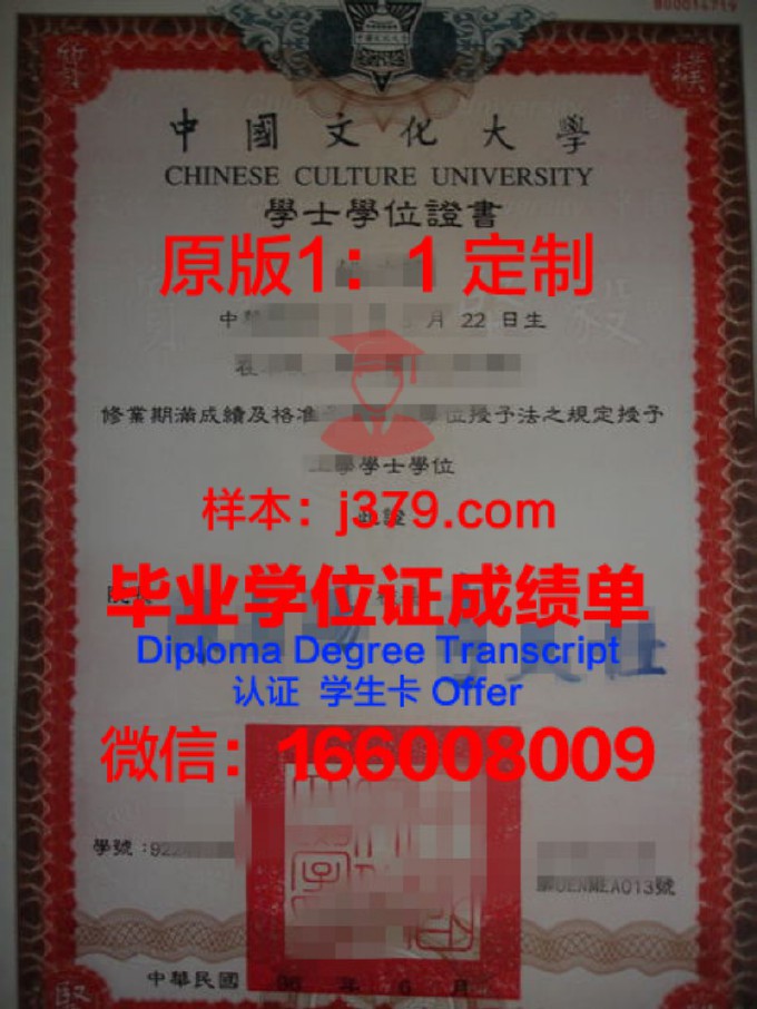 启明文化大学学历证书(启明文化培训学校)