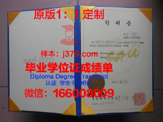 中央大学成绩单(中央大学成绩单怎么打印)