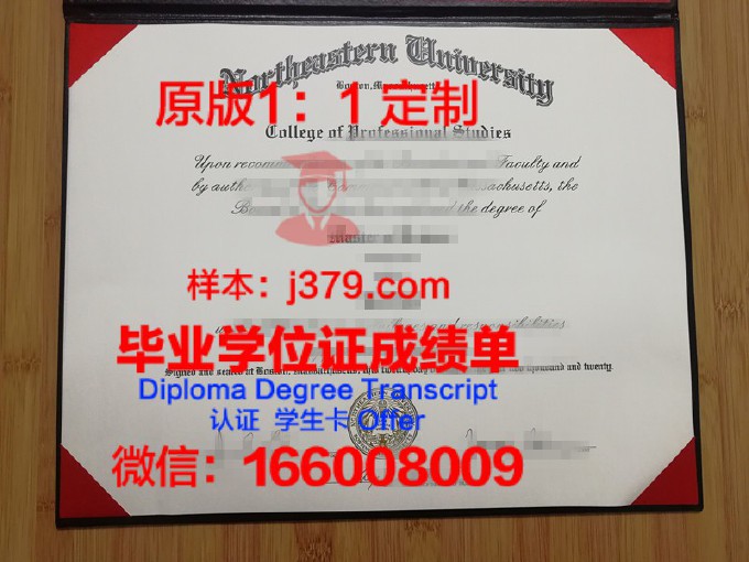 东北大学网络教育学位(东北大学网络教育学位证书图片)