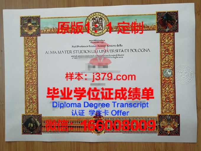 克里斯蒂安斯塔德大学学院diploma证书(克里斯蒂安尼亚大学)