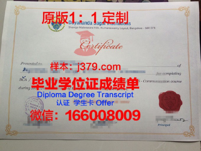 印度理工学院瓦拉纳西分校（巴纳拉斯印度大学）diploma证书(印度巴拉蒂尔大学)