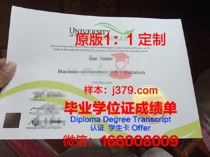 伊塔贾伊河谷大学diploma证书