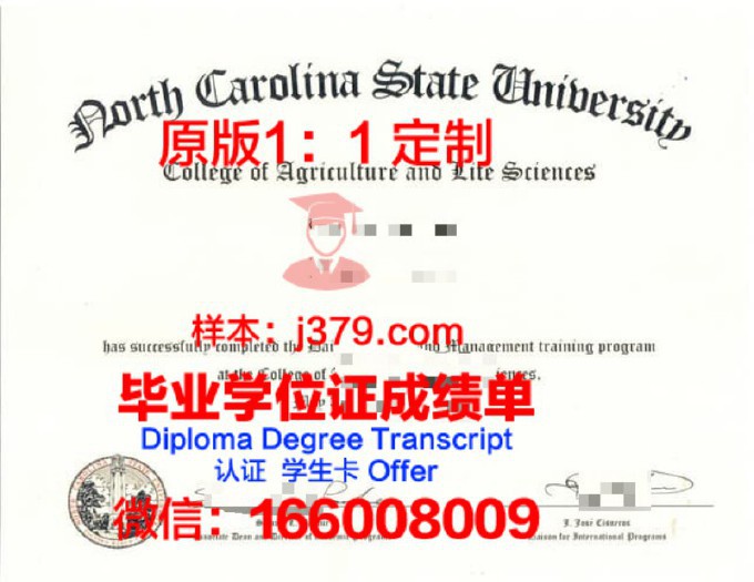 北卡罗莱纳大学夏洛特分校毕业证是什么样呢(北卡夏洛特分校世界排名)