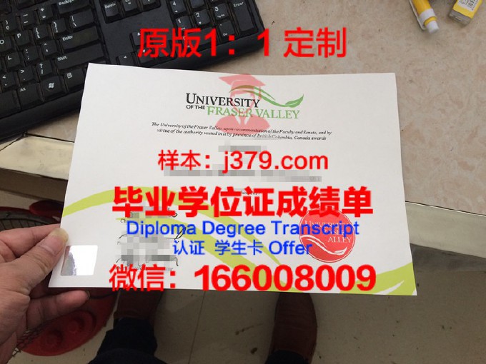 伊塔贾伊河谷大学diploma证书