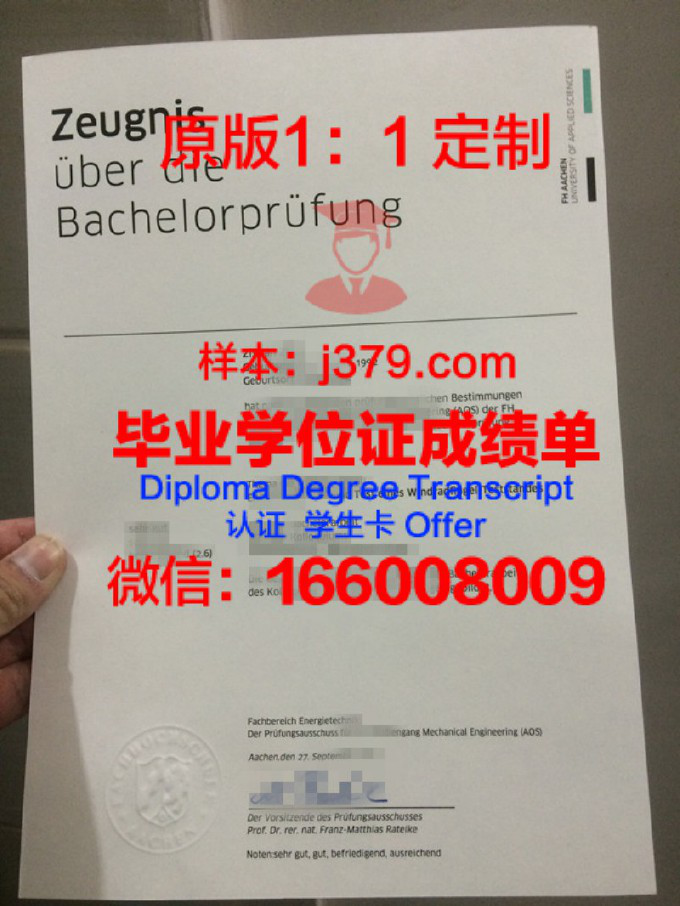 亚琛工业大学毕业证是英语还是德语的(亚琛工业大学国际学院发的是哪的毕业证)