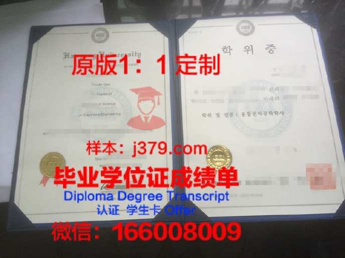 乌克兰国立造船大学博士学位证的荣耀与价值