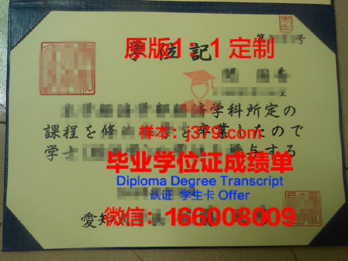 爱知东邦大学录取通知书OFFER定制——开启日本留学新篇章