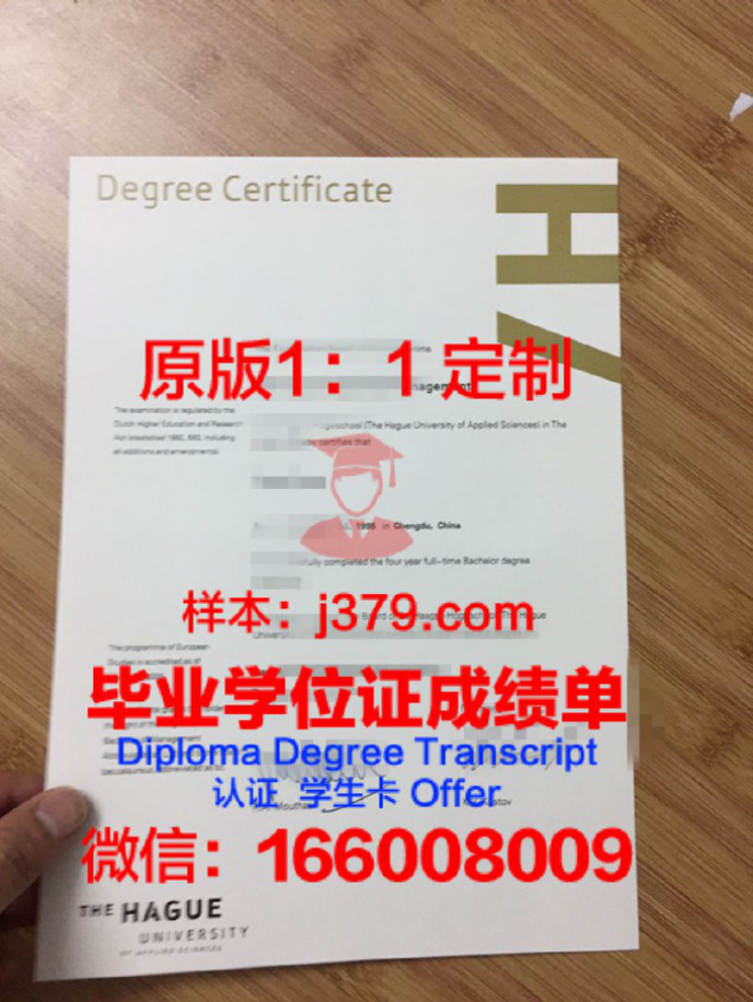 海牙应用科学大学录取通知书OFFER定制，开启你的荷兰留学之旅