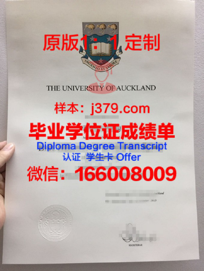 奥克兰大学荣誉硕士与硕士的区别