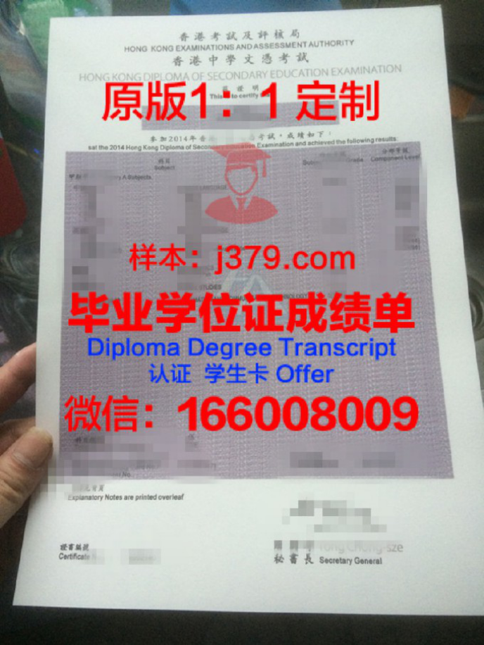 揭秘圣加学位文凭定制市场：价格、真相与反思