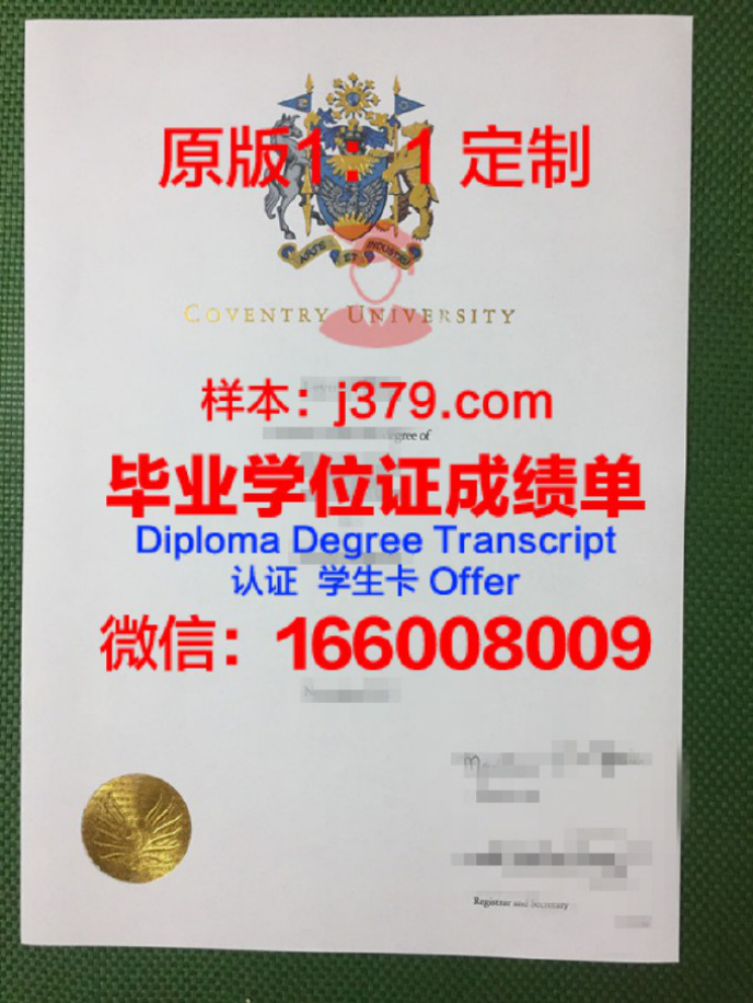 达累斯萨拉姆大学录取通知书 OFFER 定制：开启你的非洲留学之旅